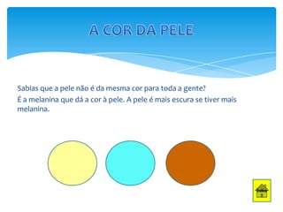 Sabias que a pele não é da mesma cor para toda a gente?
É a melanina que dá a cor à pele. A pele é mais escura se tiver mais
melanina.

 