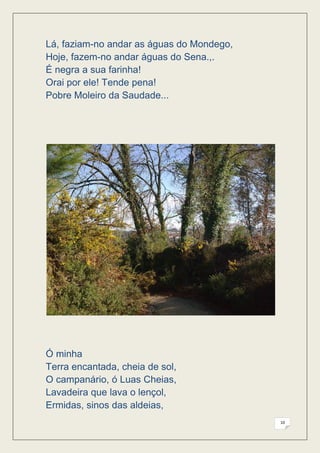 Lá, faziam-no andar as águas do Mondego,
Hoje, fazem-no andar águas do Sena.,.
É negra a sua farinha!
Orai por ele! Tende pena!
Pobre Moleiro da Saudade...




Ó minha
Terra encantada, cheia de sol,
O campanário, ó Luas Cheias,
Lavadeira que lava o lençol,
Ermidas, sinos das aldeias,
                                           10
 