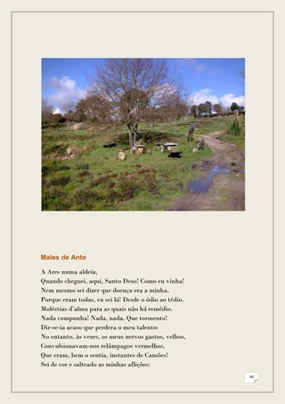 Males de Anto

A Ares numa aldeia,
Quando cheguei, aqui, Santo Deus! Como eu vinha!
Nem mesmo sei dizer que doença era a minha,
Porque eram todas, eu sei lá! Desde o ódio ao tédio.
Moléstias d’alma para as quais não há remédio.
Nada compunha! Nada, nada. Que tormento!
Dir-se-ia acaso que perdera o meu talento:
No entanto, às vezes, os meus nervos gastos, velhos,
Convulsionavam-nos relâmpagos vermelhos,
Que eram, bem o sentia, instantes de Camões!
Sei de cor e salteado as minhas aflições:
                                                       46
 