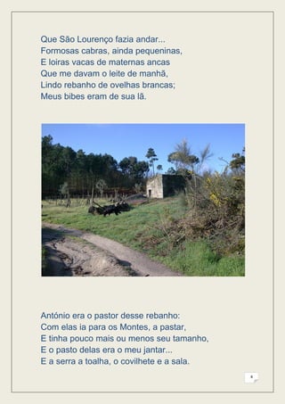 Que São Lourenço fazia andar...
Formosas cabras, ainda pequeninas,
E loiras vacas de maternas ancas
Que me davam o leite de manhã,
Lindo rebanho de ovelhas brancas;
Meus bibes eram de sua lã.




António era o pastor desse rebanho:
Com elas ia para os Montes, a pastar,
E tinha pouco mais ou menos seu tamanho,
E o pasto delas era o meu jantar...
E a serra a toalha, o covilhete e a sala.
                                            8
 