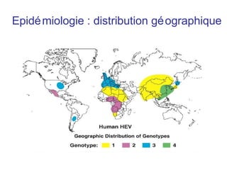 Epidémiologie : distribution géographique
 