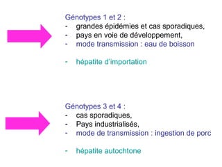 Génotypes 1 et 2 :
- grandes épidémies et cas sporadiques,
- pays en voie de développement,
- mode transmission : eau de boisson
- hépatite d’importation
Génotypes 3 et 4 :
- cas sporadiques,
- Pays industrialisés,
- mode de transmission : ingestion de porc
- hépatite autochtone
 