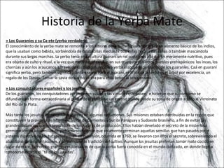 Historia de la Yerba Mate » Los Guaraníes y su Ca-ete (yerba verdadera) El conocimiento de la yerba mate se remonta a los albores de la cultura guaranítica. Era un alimento básico de los indios, que la usaban como bebida, sorbiéndola de calabacillas mediante bombillas hechas de  cañas o también mascándola durante sus largas marchas. La yerba tenía en la cultura guaraní un rol social mas allá del fin meramente nutritivo, pues era objeto de culto y ritual, a la vez que moneda de cambio en sus trueques con otros pueblos prehispánicos: los incas, los charrúas y aún los araucanos a través de los pampas, recibían yerba elaborada de manos de los guaraníes. Caá en guaraní significa yerba, pero también significa planta y selva. Para el guaraní, el árbol de la yerba es el árbol por excelencia, un regalo de los Dioses. Tomar la savia de sus hojas era para ellos beber la selva misma. » Los conquistadores españoles y los jesuitas De los guaraníes, los conquistadores aprendieron su uso y las virtudes que posee,  e hicieron que su consumo se difundiera en forma extraordinaria al punto de organizarse un intenso tráfico desde su zona de origen a todo el Virreinato del Río de la Plata. Más tarde los jesuitas introdujeron el cultivo en algunas reducciones. Sus misiones estaban distribuidas en la región que constituyen la provincia de Misiones, Norte de Corrientes y Sur de Paraguay y Sudoeste brasileño, a fin de evitar las grandes distancias que los separaban de los lugares de producción. Ellos habían develado el secreto de la misteriosa germinación de las semillas de yerba, descubriendo que solamente germinan aquellas semillas que han pasado por el sistema digestivo de los tucanes. Pero en su expulsión, ocurrida en 1769, se llevaron con ellos el secreto, sobreviniendo el abandono de las plantaciones y perdiéndose la tradición del cultivo. Aunque los jesuitas preferían tomar mate cocido en lugar de mate, fueron los grandes responsables de que la yerba fuera conocida en el mundo civilizado, en donde llegó a  conocérsela como el "té de los jesuitas". 