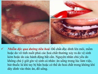  Nhiễm độc qua đường tiêu hoá: Để chất độc dính lên môi, mồm
hoặc do vô tình nuốt phải các hoá chất thường xảy ra do vệ sinh
kém hoặc do các hành động bất cẩn. Nguyên nhân chủ yếu do
không chú ý giữ gìn vệ sinh cá nhân: ăn uống trong lúc làm việc,
hút thuốc lá khi tay bị bẩn hoặc có thể do hoá chất trong không khí
dây dính vào thức ăn, đồ uống.
 