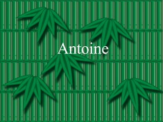 Antoine 