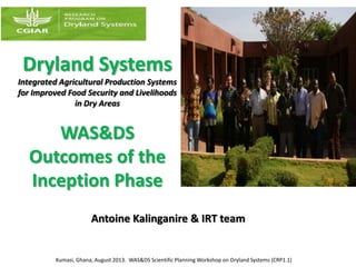 Dryland Systems
Integrated Agricultural Production Systems
for Improved Food Security and Livelihoods
in Dry Areas
WAS&DS
Outcomes of the
Inception Phase
Antoine Kalinganire & IRT team
Kumasi, Ghana, August 2013. WAS&DS Scientific Planning Workshop on Dryland Systems (CRP1.1)
 