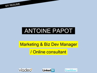 MY RESUME ANTOINE PAPOT Marketing & Biz Dev Manager / Online consultant 