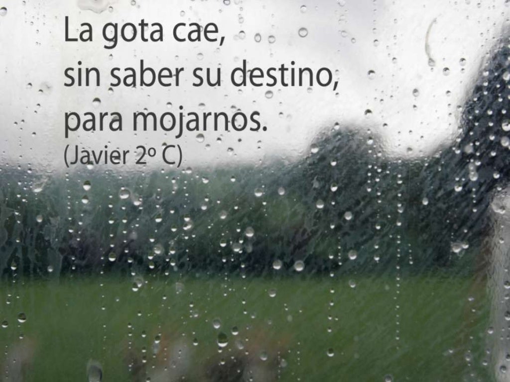 Antología de haikus