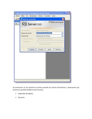 Al conectarnos se nos presenta la primera pantalla de nuestra herramienta, y observamos que
tenemos la pantalla dividida en dos ventanas:

   •   Explorador de objetos.

   •   Resumen.
 