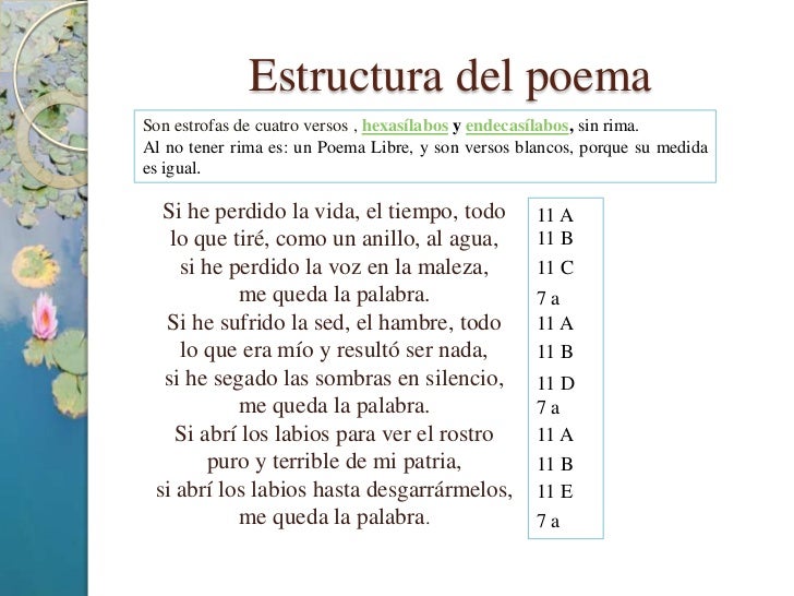 Antología poética.castellano