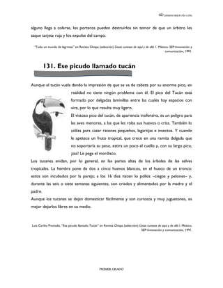 LEEMOS MEJOR DÍA A DÍA




alguno llega a colarse, los porteros pueden destruirlos sin temor de que un árbitro les
saque tarjeta roja y los expulse del campo.

 “Todo un mundo de lágrimas” en Revista Chispa (selección) Cosas curiosas de aquí y de allá 1. México. SEP-Innovación y
                                                                                                   comunicación, 1991.



         131. Ese picudo llamado tucán

Aunque el tucán vuela dando la impresión de que se va de cabeza por su enorme pico, en
                             realidad no tiene ningún problema con él. El pico del Tucán está
                             formado por delgadas laminillas entre las cuales hay espacios con
                             aire, por lo que resulta muy ligero.
                             El vistoso pico del tucán, de apariencia inofensiva, es un peligro para
                             las aves menores, a las que les roba sus huevos o crías. También lo
                             utiliza para cazar ratones pequeños, lagartijas e insectos. Y cuando
                             le apetece un fruto tropical, que crece en una ramita delgada que
                             no soportaría su peso, estira un poco el cuello y, con su largo pico,
                             ¡zas! Le pega el mordisco.
Los tucanes anidan, por lo general, en las partes altas de los árboles de las selvas
tropicales. La hembra pone de dos a cinco huevos blancos, en el hueco de un tronco:
estos son incubados por la pareja; a los 16 días nacen lo pollos –ciegos y pelones– y,
durante las seis o siete semanas siguientes, son criados y alimentados por la madre y el
padre.
Aunque los tucanes se dejan domesticar fácilmente y son curiosos y muy juguetones, es
mejor dejarlos libres en su medio.



Luis Cariño Preciado, “Ese picudo llamado Tucán” en Revista Chispa (selección) Cosas curiosas de aquí y de allá I. México,
                                                                                SEP-Innovación y comunicación, 1991.




                                                   PRIMER GRADO
 