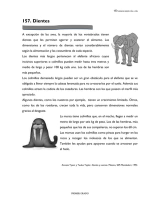 LEEMOS MEJOR DÍA A DÍA




157. Dientes

A excepción de las aves, la mayoría de los vertebrados tienen
dientes que les permiten agarrar y sostener el alimento. Las
dimensiones y el número de dientes varían considerablemente
según la alimentación y las costumbres de cada especie.
Los dientes más largos pertenecen al elefante africano cuyos
incisivos superiores o colmillos pueden medir hasta tres metros y
medio de largo y pesar 100 kg cada uno. Los de las hembras son
más pequeños.
Los colmillos demasiado largos pueden ser un gran obstáculo para el elefante que se ve
obligado a llevar siempre la cabeza levantada para no arrastrarlos por el suelo. Además sus
colmillos atraen la codicia de los cazadores. Las hembras son las que poseen el marfil más
apreciado.
Algunos dientes, como los nuestros por ejemplo, tienen un crecimiento limitado. Otros,
como los de los roedores, crecen toda la vida, pero conservan dimensiones normales
gracias al desgaste.
                             La morsa tiene colmillos que, en el macho, llegan a medir un
                             metro de largo por seis kg de peso. Los de las hembras, más
                             pequeños que los de sus compañeros, no superan los 60 cm.
                             Las morsas usan los colmillos como pinzas para hurgar en las
                             rocas y recoger los moluscos de los que se alimentan.
                             También les ayudan para apoyarse cuando se arrastran por
                             el hielo.




                               Annete Tyson y Taulus Taylor, Dientes y cuernos. México, SEP-Mondadori, 1992.




                                         PRIMER GRADO
 