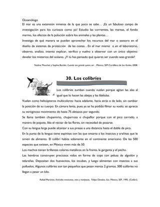 Oceanólogo
El mar es una extensión inmensa de la que poco se sabe… ¡Es un fabuloso campo de
investigación para los curiosos como yo! Estudio las corrientes, las mareas, el fondo
marino, los efectos de la polución sobre los animales y las plantas…
Investigo de qué manera se pueden aprovechar los recursos del mar o asesoro en el
diseño de sistemas de protección de las costas…En el mar mismo o en el laboratorio,
observo, analizo, intento explicar, verifico y vuelvo a observar con un único objetivo:
develar los misterios del océano. ¿Y tú has pensado qué quieres ser cuando seas grande?

          Nadine Mouchet y Sophie Bordet. Cuando sea grande quiero ser…México, SEP-Cordillera de los Andes, 2008.




                                           30. Los colibríes

                                 Los colibríes zumban cuando vuelan porque agitan las alas al
                                 igual que lo hacen las abejas y las libélulas.
Vuelan como helicópteros multicolores: hacia adelante, hacia atrás o de lado, sin cambiar
la posición de su cuerpo. En cámara lenta, pues ya se ha podido filmar su vuelo, se aprecia
su vertiginoso movimiento de hasta 75 aletazos por segundo.
Se llama también chupamirto, chuparrosa o chupaflor porque con el pico cerrado, a
manera de popote, liba el néctar de las flores, sin necesidad de posarse.
Con su lengua larga puede alcanzar a sus presas a una distancia hasta el doble de pico.
En la punta de la lengua tiene espinitas con las que ensarta a los insectos y arañitas que le
sirven de alimento. El colibrí habita solamente en el continente americano. De las 500
especies que existen, en México viven más de 50.
Los machos tienen brillantes colores metálicos en la frente, la garganta y el pecho.
Las hembras construyen preciosos nidos en forma de copa con pelusa de algodón y
telarañas. Depositan dos huevecitos, los incuban, y luego alimentan con insectos a sus
polluelos. Algunos colibríes son tan pequeños que pesan menos 2 gramos. 500 colibríes no
llegan a pesar un kilo.

               Rafael Martínez, Animales mexicanos, aves y mariposas, Felipe Dávalos, ilus. México, SEP, 1995. (Colibrí).
 