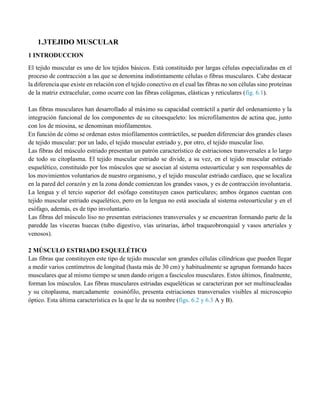 1.3TEJIDO MUSCULAR
1 INTRODUCCION
El tejido muscular es uno de los tejidos básicos. Está constituido por largas células especializadas en el
proceso de contracción a las que se denomina indistintamente células o fibras musculares. Cabe destacar
la diferencia que existe en relación con el tejido conectivo en el cual las fibras no son células sino proteínas
de la matriz extracelular, como ocurre con las fibras colágenas, elásticas y reticulares (fig. 6.1).
Las fibras musculares han desarrollado al máximo su capacidad contráctil a partir del ordenamiento y la
integración funcional de los componentes de su citoesqueleto: los microfilamentos de actina que, junto
con los de miosina, se denominan miofilamentos.
En función de cómo se ordenan estos miofilamentos contráctiles, se pueden diferenciar dos grandes clases
de tejido muscular: por un lado, el tejido muscular estriado y, por otro, el tejido muscular liso.
Las fibras del músculo estriado presentan un patrón característico de estriaciones transversales a lo largo
de todo su citoplasma. El tejido muscular estriado se divide, a su vez, en el tejido muscular estriado
esquelético, constituido por los músculos que se asocian al sistema osteoarticular y son responsables de
los movimientos voluntarios de nuestro organismo, y el tejido muscular estriado cardíaco, que se localiza
en la pared del corazón y en la zona donde comienzan los grandes vasos, y es de contracción involuntaria.
La lengua y el tercio superior del esófago constituyen casos particulares; ambos órganos cuentan con
tejido muscular estriado esquelético, pero en la lengua no está asociada al sistema osteoarticular y en el
esófago, además, es de tipo involuntario.
Las fibras del músculo liso no presentan estriaciones transversales y se encuentran formando parte de la
paredde las vísceras huecas (tubo digestivo, vías urinarias, árbol traqueobronquial y vasos arteriales y
venosos).
2 MÚSCULO ESTRIADO ESQUELÉTICO
Las fibras que constituyen este tipo de tejido muscular son grandes células cilíndricas que pueden llegar
a medir varios centímetros de longitud (hasta más de 30 cm) y habitualmente se agrupan formando haces
musculares que al mismo tiempo se unen dando origen a fascículos musculares. Estos últimos, finalmente,
forman los músculos. Las fibras musculares estriadas esqueléticas se caracterizan por ser multinucleadas
y su citoplasma, marcadamente eosinófilo, presenta estriaciones transversales visibles al microscopio
óptico. Esta última característica es la que le da su nombre (figs. 6.2 y 6.3 A y B).
 
