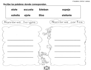 Escribe las palabras donde correspondan.
elote escuela Esteban espejo
estrella ejote Elisa elefante
PALABRAS CORTAS Y LARGAS.
______________________
______________________
______________________
______________________
______________________
______________________
______________________
______________________
25
 