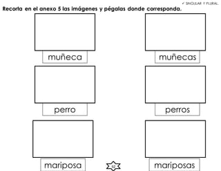  SINGULAR Y PLURAL.
Recorta en el anexo 5 las imágenes y pégalas donde corresponda.
muñeca muñecas
perro perros
mariposa mariposas
62
 