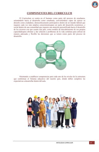 COMPONENTES DEL CURRICULUM
El Curriculum se centra en el humano como parte del proceso de enseñanza,
orientándolo hacia el desarrollo como estudiante, convirtiéndose capaz de ejercer su
derecho como ciudadano, democráticamente participativo dentro de un mundo laboral que
requiere cada vez más amplios conocimientospara ser parte del desarrollo económico, y
social dentro de una comunidad que requiere una atención personificada hacia el desarrollo
de los recursos con que cuenta este país, como modelo de descubrimiento de sus propias
capacidadespara afrontar y dar solución a problemas de la vida cotidiana para utilizar de
manera adecuada y flexible las decisiones que se tomen como parte del proceso de
desarrollo.

Orientando a establecer competencias para cada uno de los niveles de la estructura
que conforman el Sistema educativo del nuestro país, donde deben cumplirse las
expectativas a desarrollar dentro del aula.

ANTOLOGIA CURRICULAR

14

 