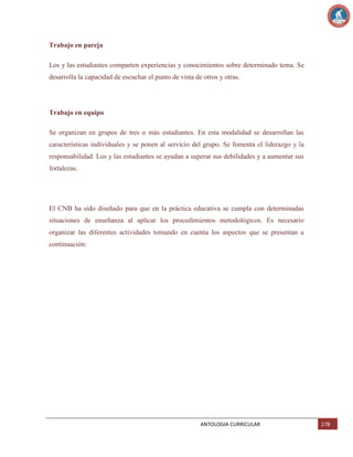 Trabajo en pareja
Los y las estudiantes comparten experiencias y conocimientos sobre determinado tema. Se
desarrolla la capacidad de escuchar el punto de vista de otros y otras.

Trabajo en equipo
Se organizan en grupos de tres o más estudiantes. En esta modalidad se desarrollan las
características individuales y se ponen al servicio del grupo. Se fomenta el liderazgo y la
responsabilidad. Los y las estudiantes se ayudan a superar sus debilidades y a aumentar sus
fortalezas.

El CNB ha sido diseñado para que en la práctica educativa se cumpla con determinadas
situaciones de enseñanza al aplicar los procedimientos metodológicos. Es necesario
organizar las diferentes actividades tomando en cuenta los aspectos que se presentan a
continuación:

ANTOLOGIA CURRICULAR

178

 