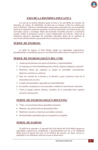 EJES DE LA REFORMA EDUCATIVA
Los ejes de la reforma educativa giran en torno a las actividades de concepto, de
principios, de valores, de habilidades, de ideas que se orientan a todos los cambios que
sufre la Reforma Educativa sistematizando cuatro puntos principales que son susceptibles
dentro de la educación siendo los siguientes: la vida en democracia, una cultura de paz, una
diversidad, ciencia y tecnología dentro del desarrollo sostenible personal y comunitario
asiendo visibles la perspectiva social y critica estableciendo una relación dentro de la
institución educativa, generando los contenidos adecuados dentro de un ambiente de
convivencia alumno-maestro; proyectados hacia un proyecto de desarrollo a realizar.

PERFIL DE INGRESO:
El perfil de ingreso al Nivel Medio agrupa las capacidades cognoscitivas,
procedimentales y actitudinales que los y las adolescentes deben poseer al ingresar al nivel.

PERFIL DE INGRESO (SEGÚN DEL CNB)
1. Acepta que las personas son sujetos de derechos y responsabilidades.
2. Es respetuosa (o) de la identidad personal, cultural, religiosa, lingüística y nacional.
3. Manifiesta interés por organizar su tiempo en actividades socioculturales,
deportivas, recreativas y artísticas.
4. Hace uso racional de su derecho a la libertad y posee conciencia crítica de la
trascendencia de sus actos.
5. Cumple con honestidad y capacidad sus responsabilidades.
6. Es sensible, sin prejuicios y sin estereotipos, solidaria (o) ante diversas situaciones.
7. Valora el legado cultural, histórico, científico, de la comunidad local, regional,
nacional e internacional.

PERFIL DE INGRESO (SEGÚN DOCENTE)
Valora el conocimiento básico aprendido en primaria.
Mantiene una actitud crítica de pensamiento libre
Manifiesta iniciativa e interés por actividades culturales.
Ha desarrollado capacidades para ser un pequeño investigador.

PERFIL DE EGRESO
El perfil de la egresada y el egresado del Ciclo Básico del Nivel Medio agrupa las
capacidades cognoscitivas, actitudinales y procedimentales que las y los estudiantes
deben poseer al egresar del ciclo, en los ámbitos del conocer, ser, hacer, convivir y
emprender en los diferentes contextos en que se desenvuelve.
ANTOLOGIA CURRICULAR

20

 