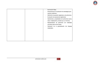 Numeración Maya.
-

Perseverancia en la aplicación de estrategias para
resolver problemas.

-

Definición de expresión algebraica y de polinomios.

-

Evaluación de expresiones algebraicas.

-

Operaciones y propiedades con polinomios (suma,
resta, multiplicación) y división por un monomio.

-

Representación de polinomios con materiales
concretos (para sumar áreas).

-

Valoración de la generalización del lenguaje
matemático.

ANTOLOGIA CURRICULAR

59

 