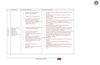 Competencia

Contenidos declarativos

Contenidos específicos

Primera unidad

Estructura del sistema digestivo.
El proceso de la digestión

Analiza los procesos
de digestión,
respiración,
reproducción y
herencia como
funciones vitales del
ser humano.

Identificación de los órganos del sistema digestivo del cuerpo
humano
Esquematización de los elementos y procesos del sistema
digestivo humano.
Estructura del sistema respiratorio.
Identificación de los órganos del sistema respiratorio del
cuerpo humano.
La respiración y el intercambio de
gases: intercambio de oxígeno y
Representación de los procesos de respiración e intercambio de
dióxido de carbono, comparación con
gases, en el ser humano y los órganos involucrados.
el intercambio gaseoso de otros
Comparación del proceso de respiración en el ser humano y
vertebrados (ej. peces).
otros vertebrados
Esquematización del ciclo de vida del ser humano con
indicación de cada una de sus etapas
Describe los cambios que suceden en
Representación de los elementos de los sistemas reproductor
el ciclo de vida del ser humano.
masculino y reproductor femenino humanos, así como de los
procesos de espermatogénesis y ovogénesis.
Ciclo de vida del ser humano.
Análisis de similitudes y diferencias en la percepción del ciclo
Estructura de los sistemas
menstrual desde el punto de vista de las diferentes culturas.
reproductor masculino y reproductor
Argumentación documentada con respecto al proceso de
femenino.
formación del cigoto, embrión, feto y nacimiento, con sus
Procesos de formación de gametos:
compañeros y maestro
espermatogénesis y ovogénesis.
ACTITUDINALES
Etapas del desarrollo del ser humano:
Valoración de cada una de las etapas del ciclo de vida del ser
la infancia, adolescencia, juventud,
humano.
adultez y vejez.
Valoración del funcionamiento adecuado del sistema
reproductor.
reproduccion humana: el ciclo
Manifestación de empatía por las necesidades en las distintas
menstrual
etapas del desarrollo del ser humano.
Reproducción humana: fecundación,
Apreciación del ciclo menstrual como proceso natural de la
embarazo y parto.
vida.

ANTOLOGIA CURRICULAR

79

 