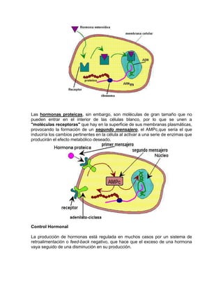 Antologia de bioquimica. sami11