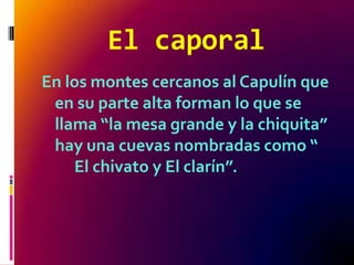 El caporal
En los montes cercanos al Capulín que
 en su parte alta forman lo que se
 llama “la mesa grande y la chiquita”
 hay una cuevas nombradas como “
    El chivato y El clarín”.
 
