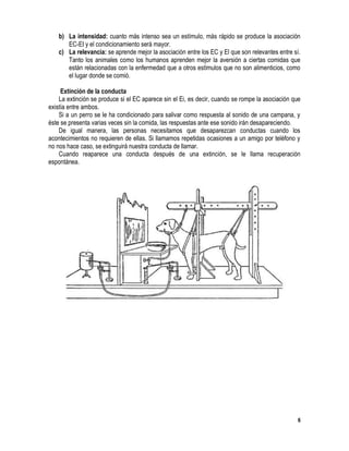 6
b) La intensidad: cuanto más intenso sea un estímulo, más rápido se produce la asociación
EC-EI y el condicionamiento será mayor.
c) La relevancia: se aprende mejor la asociación entre los EC y El que son relevantes entre sí.
Tanto los animales como los humanos aprenden mejor la aversión a ciertas comidas que
están relacionadas con la enfermedad que a otros estímulos que no son alimenticios, como
el lugar donde se comió.
Extinción de la conducta
La extinción se produce si el EC aparece sin el Ei, es decir, cuando se rompe la asociación que
existía entre ambos.
Si a un perro se le ha condicionado para salivar como respuesta al sonido de una campana, y
éste se presenta varias veces sin la comida, las respuestas ante ese sonido irán desapareciendo.
De igual manera, las personas necesitamos que desaparezcan conductas cuando los
acontecimientos no requieren de ellas. Si llamamos repetidas ocasiones a un amigo por teléfono y
no nos hace caso, se extinguirá nuestra conducta de llamar.
Cuando reaparece una conducta después de una extinción, se le llama recuperación
espontánea.
 