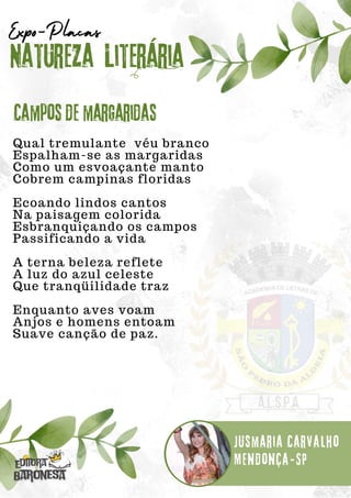 Qual tremulante véu branco
Espalham-se as margaridas
Como um esvoaçante manto
Cobrem campinas floridas
Ecoando lindos cantos
Na paisagem colorida
Esbranquiçando os campos
Passificando a vida
A terna beleza reflete
A luz do azul celeste
Que tranqüilidade traz
Enquanto aves voam
Anjos e homens entoam
Suave canção de paz.
Natureza Literária
Jusmaria Carvalho
Expo-Placas
Campos de margaridas
Mendonça-SP
 