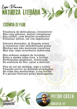 Tessitura de delicadezas, irresistível
Nas tuas pétalas, néctar voluptuoso
Sou colibri, com destino irredutível
Polinizar afetos, em voo impetuoso
Outrora douradas, já ficando alvas
A estontear este sensibilizado poeta
Mechas que não merecem ressalvas
Mas sim, uma reverência indiscreta
Nos sedosos campos de lavanda,
Sinto a minha alma leve, a levitar
Perfumadas madeixas, veneranda
És essência de flor, calor a destilar
Fios de sol me deixam, sigo a trilha
Visando sorver as delícias orvalhadas
No cimo das montanhas, a lua brilha
E a paixão floresce pelas madrugadas
Natureza Literária
Pietro Costa
Expo-Placas
Essência de flor
Brasília-df
 