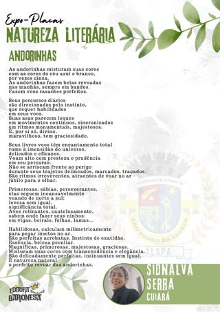 As andorinhas misturam suas cores
com as cores do céu azul e branco,
por vezes cinza.
As andorinhas fazem belas revoadas
nas manhãs, sempre em bandos.
Fazem voos rasantes perfeitos.
Seus percursos diários
são direcionados pelo instinto,
que requer habilidades
em seus voos.
Suas asas parecem leques
em movimentos contínuos, sincronizados
em ritmos monumentais, majestosos.
É, por si só, divino,
maravilhoso, tem graciosidade.
Seus livres voos têm encantamento total
rumo à imensidão do universo,
delicados e eficazes.
Voam alto com presteza e prudência
em seu percurso.
Não se arriscam frente ao perigo
durante seus trajetos delineados, marcados, traçados.
São ritmos irreverentes, atraentes de voar no ar –
júbilo para o olhar.
Primorosas, sábias, perseverantes,
elas seguem incansavelmente
voando de norte a sul;
leveza sem igual,
significância total.
Aves retirantes, cautelosamente,
sabem onde fazer seus ninhos:
em vigas, beirais, folhas, lamas...
Habilidosas, calculam milimetricamente
para pegar insetos no ar.
São perfeitas acrobatas. Instinto de exatidão.
Essência, beleza peculiar.
Magníficas, primorosas, majestosas, graciosas.
Misturam suas cores com transcendência e elegância.
São delicadamente perfeitas, insinuantes sem igual.
É natureza natural
o perfeito revoar das andorinhas.
Natureza Literária
Sidnalva
Serra
Expo-Placas
Andorinhas
Cuiabá
 