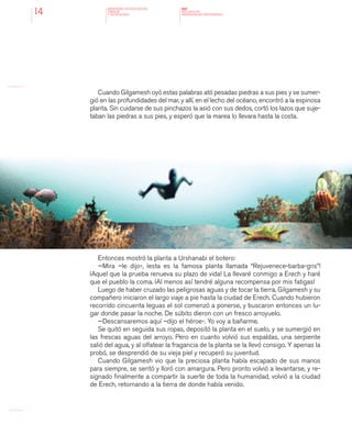 MINISTERIO DE EDUCACION,
CIENCIA
Y TECNOLOGIA
NAP
NUCLEOS DE
APRENDIZAJES PRIORITARIOS14
Cuando Gilgamesh oyó estas palabras ató pesadas piedras a sus pies y se sumer-
gió en las profundidades del mar, y allí, en el lecho del océano, encontró a la espinosa
planta. Sin cuidarse de sus pinchazos la asió con sus dedos, cortó los lazos que suje-
taban las piedras a sus pies, y esperó que la marea lo llevara hasta la costa.
Entonces mostró la planta a Urshanabi el botero:
—Mira –le dijo-, ¡esta es la famosa planta llamada “Rejuvenece-barba-gris”!
¡Aquel que la prueba renueva su plazo de vida! La llevaré conmigo a Erech y haré
que el pueblo la coma. ¡Al menos así tendré alguna recompensa por mis fatigas!
Luego de haber cruzado las peligrosas aguas y de tocar la tierra, Gilgamesh y su
compañero iniciaron el largo viaje a pie hasta la ciudad de Erech. Cuando hubieron
recorrido cincuenta leguas el sol comenzó a ponerse, y buscaron entonces un lu-
gar donde pasar la noche. De súbito dieron con un fresco arroyuelo.
—Descansaremos aquí –dijo el héroe-. Yo voy a bañarme.
Se quitó en seguida sus ropas, depositó la planta en el suelo, y se sumergió en
las frescas aguas del arroyo. Pero en cuanto volvió sus espaldas, una serpiente
salió del agua, y al olfatear la fragancia de la planta se la llevó consigo. Y apenas la
probó, se desprendió de su vieja piel y recuperó su juventud.
Cuando Gilgamesh vio que la preciosa planta había escapado de sus manos
para siempre, se sentó y lloró con amargura. Pero pronto volvió a levantarse, y re-
signado finalmente a compartir la suerte de toda la humanidad, volvió a la ciudad
de Erech, retornando a la tierra de donde había venido.
 
