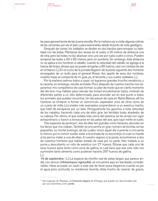 antologÍA
57
las para aprovecharme de tan buena escolta. Por la mañana voy a visitar algunas colinas
de las cercanías, por ver el país y para examinarlas desde el punto de vista geológico.
Después de comer, los soldados se dividen en dos bandos para ensayar su habi-
lidad con las bolas. Plántanse dos lanzas en el suelo, a 35 metros de distancia una
de otra; pero las bolas no las alcanzan sino una vez por cada cuatro o cinco. Pueden
arrojarse las bolas a 50 ó 60 metros, pero sin puntería. Sin embargo, ésta distancia
no se aplica a los hombres a caballo: cuando la velocidad del caballo se agrega a la
fuerza del brazo, dícese que se puede arrojarlas a 80 metros, casi con certeza de dar
en el blanco. [...] En el curso de la jornada llegaron de la posta siguiente dos hombres
encargados de un bulto para el general Rosas. Así, aparte de esos dos hombres,
nuestra tropa se componía de mi guía, yo, el teniente y sus cuatro soldados. [...]
Por la mañana salimos todos a cazar: no logramos grandes triunfos venatorios, y
la cacería, sin embargo, resulta animada. Poco después de nuestra marcha nos se-
paramos: mis compañeros de caza forman su plan de modo que en cierto momento
del día (son muy hábiles para calcular las horas) encuéntranse todos, viniendo de
diferentes partes a un sitio determinado, para acorralar así en ese punto a todos
los animales que puedan encontrar. Un día estuve de caza en Bahía Blanca; allí los
hombres se limitaron a formar un semicírculo, separados unos de otros como de
un cuarto de milla. Los jinetes más avanzados sorprendieron a un avestruz macho,
que trató de escaparse por un lado. Persiguiéronle los gauchos a toda velocidad
de los caballos, haciendo cada uno de ellos girar las terribles bolas alrededor de
su cabeza. Por último, el que estaba más cerca del avestruz se las arrojó con vigor
extraordinario y fueron a enroscarse en las patas del ave, que cayó inerte al suelo.
Tres especies de perdices2
, dos de ellas tan grandes como faisanes, abundan en
los llanos que nos rodean. También se encuentra un gran número de bonitas zorras
pequeñas, su mortal enemigo, de las cuales vimos aquel día cuarenta o cincuenta
lo menos; por lo común suelen estar a la entrada de su escondrijo, lo cual no impide
a los perros matar a una de ellas. A nuestro regreso a la posta, encontramos a dos
de nuestros hombres que habían estado de caza por su parte. Han matado a un
puma y descubierto un nido de avestruz con 27 huevos. Dícese que cada uno de
esos huevos pesa tanto como once de gallina, lo cual hace que ese solo nido nos
suministre tanto alimento como pudieran hacerlo 297 huevos de gallina.
[...]
15 de septiembre.- [...] La especie de chorlito real de patas largas, que parece an-
dar con zancos (Himantopus nigricollis), se encuentra aquí en bandadas conside-
rables. Hase acusado sin razón a este ave de tener poca elegancia cuando va por
el agua poco profunda, su residencia favorita, dista mucho de carecer de gracia.
TEXTOS
NO LITERARIOS
2 	
Dos especies de Tinumus y la Eudromia elegans de d’Orbigny, que pueden ser denominadas solo
por sus costumbres, como perdiz.
 