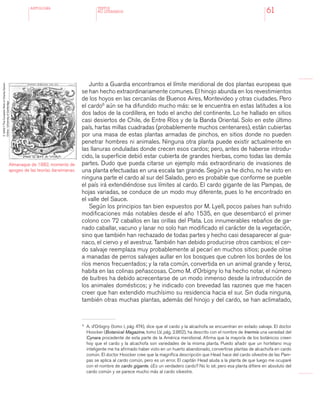 antologÍA
61
Junto a Guardia encontramos el límite meridional de dos plantas europeas que
se han hecho extraordinariamente comunes. El hinojo abunda en los revestimientos
de los hoyos en las cercanías de Buenos Aires, Montevideo y otras ciudades. Pero
el cardo6
aún se ha difundido mucho más: se le encuentra en estas latitudes a los
dos lados de la cordillera, en todo el ancho del continente. Lo he hallado en sitios
casi desiertos de Chile, de Entre Ríos y de la Banda Oriental. Solo en este último
país, hartas millas cuadradas (probablemente muchos centenares), están cubiertas
por una masa de estas plantas armadas de pinchos, en sitios donde no pueden
penetrar hombres ni animales. Ninguna otra planta puede existir actualmente en
las llanuras onduladas donde crecen esos cardos; pero, antes de haberse introdu-
cido, la superficie debió estar cubierta de grandes hierbas, como todas las demás
partes. Dudo que pueda citarse un ejemplo más extraordinario de invasiones de
una planta efectuadas en una escala tan grande. Según ya he dicho, no he visto en
ninguna parte el cardo al sur del Salado, pero es probable que conforme se pueble
el país irá extendiéndose sus límites al cardo. El cardo gigante de las Pampas, de
hojas variadas, se conduce de un modo muy diferente, pues lo he encontrado en
el valle del Sauce.
Según los principios tan bien expuestos por M. Lyell, pocos países han sufrido
modificaciones más notables desde el año 1535, en que desembarcó el primer
colono con 72 caballos en las orillas del Plata. Los innumerables rebaños de ga-
nado caballar, vacuno y lanar no solo han modificado el carácter de la vegetación,
sino que también han rechazado de todas partes y hecho casi desaparecer al gua-
naco, el ciervo y el avestruz. También han debido producirse otros cambios; el cer-
do salvaje reemplaza muy probablemente al pecarí en muchos sitios; puede oírse
a manadas de perros salvajes aullar en los bosques que cubren los bordes de los
ríos menos frecuentados; y la rata común, convertida en un animal grande y feroz,
habita en las colinas peñascosas. Como M. d’Orbigny lo ha hecho notar, el número
de buitres ha debido acrecentarse de un modo inmenso desde la introducción de
los animales domésticos; y he indicado con brevedad las razones que me hacen
creer que han extendido muchísimo su residencia hacia el sur. Sin duda ninguna,
también otras muchas plantas, además del hinojo y del cardo, se han aclimatado,
TEXTOS
NO LITERARIOS
6 	
A. d’Orbigny (tomo I, pág 474), dice que el cardo y la alcachofa se encuentran en estado salvaje. El doctor
Hoocker (Botanical Magazine, tomo LV, pág. 2.862), ha descrito con el nombre de Inermis una variedad del
Cynara procedente de esta parte de la América meridional. Afirma que la mayoría de los botánicos creen
hoy que el cardo y la alcachofa son variedades de la misma planta. Puedo añadir que un hortelano muy
inteligente me ha afirmado haber visto en un huerto abandonado, convertirse plantas de alcachofa en cardo
común. El doctor Hoocker cree que la magnífica descripción que Head hace del cardo silvestre de las Pam-
pas se aplica al cardo común, pero es un error. El capitán Head aluda a la planta de que luego me ocuparé
con el nombre de cardo gigante. ¿Es un verdadero cardo? No lo sé; pero esa planta difiere en absoluto del
cardo común y se parece mucho más al cardo silvestre.
Almanaque de 1882, momento de
apogeo de las teorías darwinianas.
©2002-7TheCompleteWorkofCharlesDarwin
Online-UniversityofCambridge
 