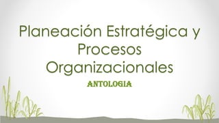 Planeación Estratégica y
Procesos
Organizacionales
ANTOLOGIA
 