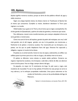 105. Ajolote

Ajolote significa monstruo acuático, porque se deriva de dos palabras náhuatl: atl, agua y
xólotl, monstruo.
    Según una antigua leyenda mexica, los dioses crearon en Teotihuacan el Quinto Sol,
el mismo que conocemos. Cumplida su misión, decidieron abandonar la Tierra para
regresar a su mundo.
    Xólotl estaba muy a gusto en la Tierra y fue el único que se negó a acompañarlos. Era
el dios gemelo de Quetzalcóatl, y padrino de todos los gemelos y monstruos que nacían.
    Para disfrazarse, intentó varias transformaciones, pero siempre adoptaba la forma de
seres gemelos o monstruosos.
    Cierta vez tomó la forma del tejolote, gemelo de piedra del molcajete; otra vez, la del
maíz gemelo, otra la del maguey gemelo; una vez, la de guajolote, ave monstruosa, y
finalmente la de ajolote o monstruo acuático. Fue reconocido por sus branquias y sus
patitas, con las que no podía desplazarse fuera del agua. Entonces fue capturado y
obligado a regresar al mundo de los dioses.
    El ajolote es un animal extraño. Como la rana, los sapos y salamandras, es anfibio. Los
anfibios pasan la primera parte de su vida en el agua, y de adultos viven en la tierra.
    El ajolote es diferente: nunca alcanza su estado adulto perfecto. Conserva sus
órganos respiratorios acuáticos, tres branquias a cada lado y detrás de ellas una abertura
como la de los peces. Vive en el lago, siempre dentro del agua.
    Es pequeño, no mayor de 15 centímetros de largo. Su piel, suave y negra, está
recubierta de mucosidad. Ya casi no hay ajolotes. El hombre los caza porque se carne es
muy sabrosa y se le atribuyen propiedades medicinales. Unos pocos sobreviven en los
                            canales de Xochimilco y otros en las profundidades del lago de
                            Pátzcuaro.

                                         “Ajolotes” en Animales fantásticos y más leyendas. México, SEP, 1995.
 