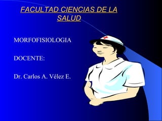 FACULTAD CIENCIAS DE LA
          SALUD

MORFOFISIOLOGIA

DOCENTE:

Dr. Carlos A. Vélez E.
 