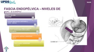 FASCIA ENDOPÉLVICA – NIVELES DE
DELANCEY
Nivel 1: la más
proximal
Incluye ligamentos cardinales y
utero- sacros
Apoyo al cervix y vagina superior
para mantenerlos sobre placa
elevadora
Ligamento cardinal: estabilidad
lateral
Utero-sacro: estabilidad
posterior
YAHIR
 
