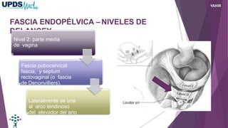 FASCIA ENDOPÉLVICA – NIVELES DE
DELANCEY
Nivel 2: parte media
de vagina
Fascia pubocervical
fascia, y septum
rectovaginal (o fascia
de Denonvilliers).
Lateralmente se une
al arco tendinoso
del elevador del ano
YAHIR
 