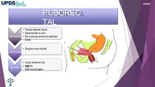 PUBOREC
TAL
laterolatera
l
• Pared lateral recto
• Desciende a ano
• Se insinúa entre el esfínter
anal
coccíge
o
• Ángulo ano-rectal
retrorrectal
• Cara anterior de
cóccix
• Lig.
Sacrococcígeo
YAHIR
 