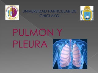 UNIVERSIDAD PARTICULAR DE
CHICLAYO
PULMON Y
PLEURA
 