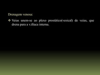 Drenagem venosa:
 Veias unem-se ao plexo prostático(vesical) de veias, que
  drena para a v.ilíaca interna.
 