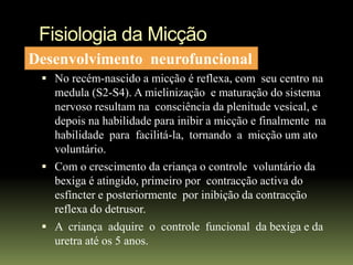 Fisiologia da Micção
Desenvolvimento neurofuncional
  No recém-nascido a micção é reflexa, com seu centro na
   medula (S2-S4). A mielinização e maturação do sistema
   nervoso resultam na consciência da plenitude vesical, e
   depois na habilidade para inibir a micção e finalmente na
   habilidade para facilitá-la, tornando a micção um ato
   voluntário.
  Com o crescimento da criança o controle voluntário da
   bexiga é atingido, primeiro por contracção activa do
   esfíncter e posteriormente por inibição da contracção
   reflexa do detrusor.
  A criança adquire o controle funcional da bexiga e da
   uretra até os 5 anos.
 