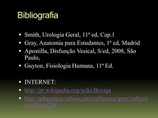 Bibliografia

 Smith, Urologia Geral, 11ª ed, Cap.1
 Gray, Anatomia para Estudantes, 1ª ed, Madrid
 Apostilla, Disfunção Vesical, S/ed, 2008, São
  Paulo,
 Guyton, Fisiologia Humana, 11ª Ed.

 INTERNET:
 http://pt.wikipedia.org/wiki/Bexiga
 http://education.yahoo.com/reference/gray/subject
  s/subject/256
 