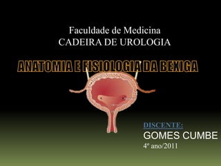 Faculdade de Medicina
CADEIRA DE UROLOGIA




                 DISCENTE:
                 GOMES CUMBE
                 4º ano/2011
 