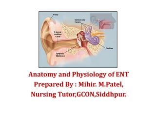 Anatomy and Physiology of ENT
Prepared By : Mihir. M.Patel,
Nursing Tutor,GCON,Siddhpur.
 