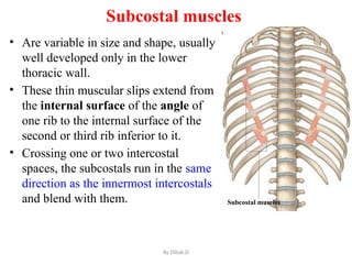 Subcostal Ribs Antomy of thoracic wall for Post G. Dil.pptx
