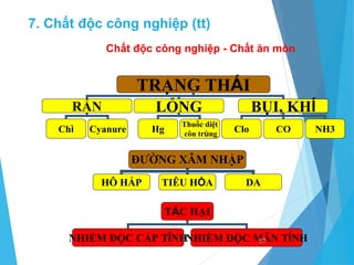 Chất độc công nghiệp - Chất ăn mòn
TRẠNG THÁI
RẮN LỎNG BỤI, KHÍ
Clo
Hg
Chì Cyanure
Thuốc diệt
côn trùng
CO NH3
ĐƯỜNG XÂM NHẬP
HÔ HẤP TIÊU HÓA DA
TÁC HẠI
NHIỂM ĐỘC CẤP TÍNHNHIỂM ĐỘC MÃN TÍNH
57
7. Chất độc công nghiệp (tt)
 