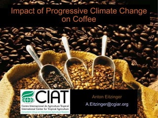 Impact of Progressive Climate Change on Coffee ,[object Object],[object Object]