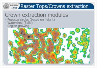 12
Bozen-Bolzano
Free University of
/21 Raster Tops/Crowns extraction
Crown extraction modules
- Popescu circles (based on...
